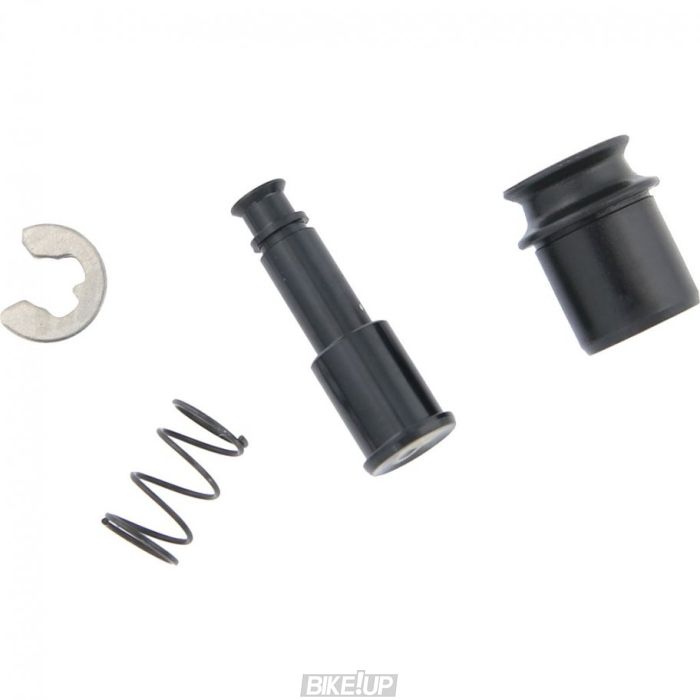 Сервисные запчасти XX1/X01 EAGLE CAGELOCK W/SPRING QTY1 GRY