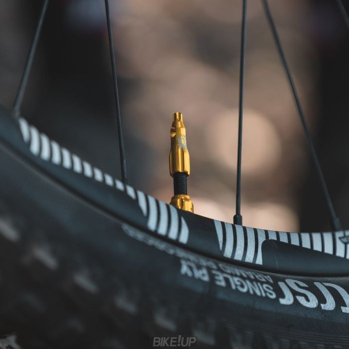 Ніпель для безкамерки Lezyne CNC TLR VALVE 60MM Золотистий Y14