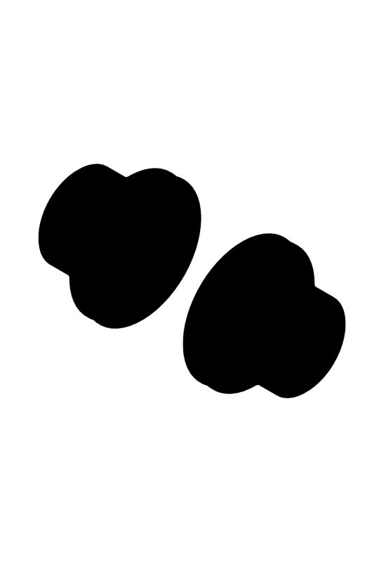 Адаптер втулки DT SWISS KIT 110/20 B NONBOOST